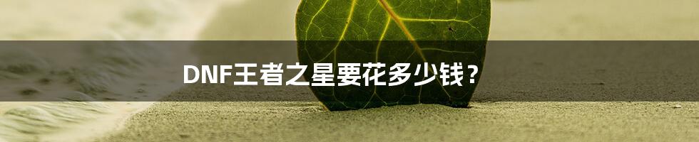 DNF王者之星要花多少钱？