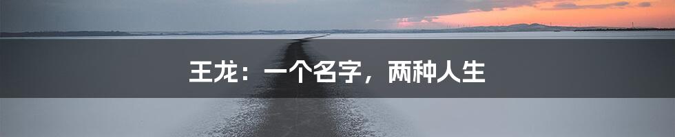 王龙：一个名字，两种人生