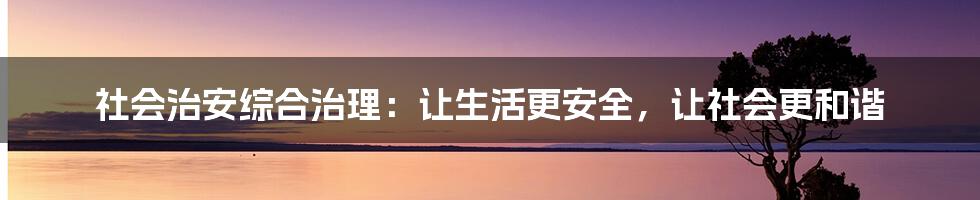 社会治安综合治理：让生活更安全，让社会更和谐