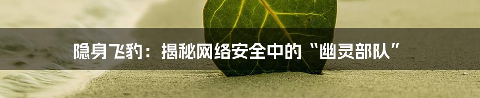 隐身飞豹：揭秘网络安全中的“幽灵部队”