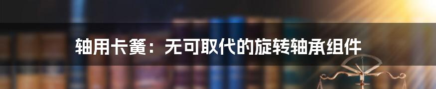 轴用卡簧：无可取代的旋转轴承组件