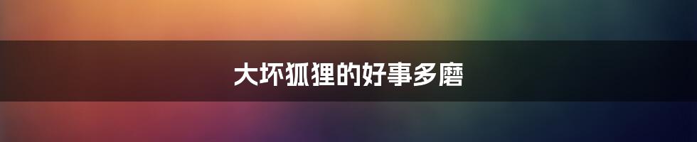 大坏狐狸的好事多磨