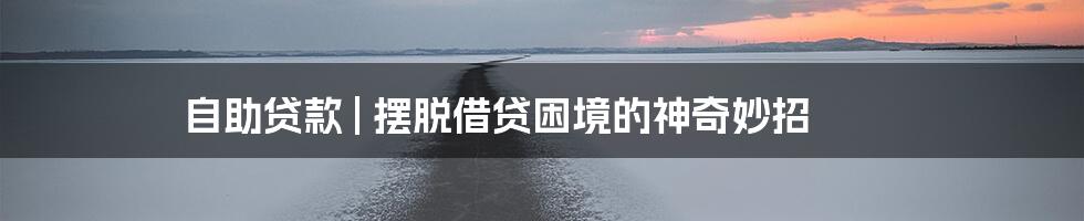 自助贷款 | 摆脱借贷困境的神奇妙招