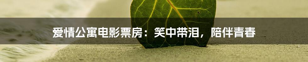 爱情公寓电影票房：笑中带泪，陪伴青春