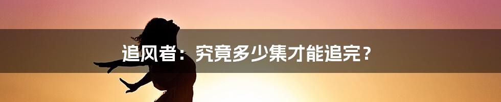 追风者：究竟多少集才能追完？