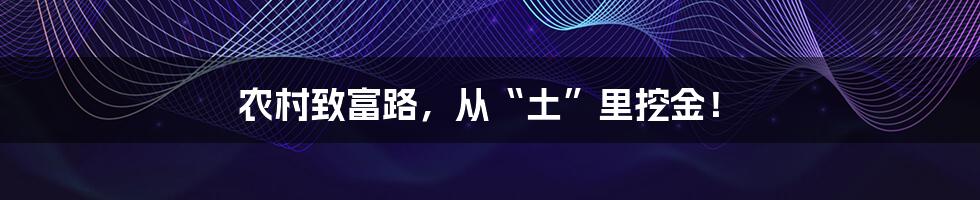 农村致富路，从“土”里挖金！