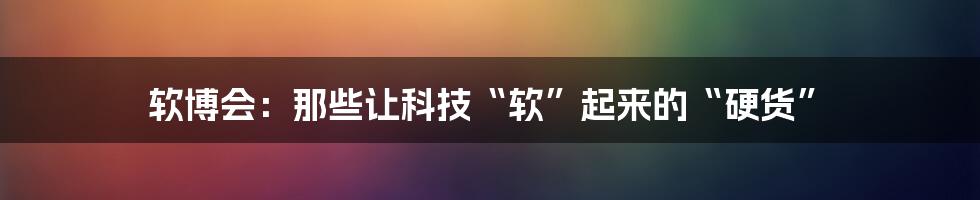 软博会：那些让科技“软”起来的“硬货”