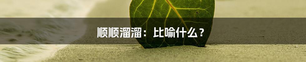 顺顺溜溜：比喻什么？