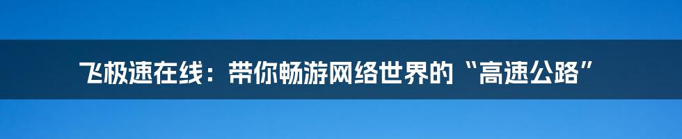 飞极速在线：带你畅游网络世界的“高速公路”