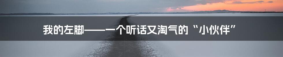 我的左脚——一个听话又淘气的“小伙伴”