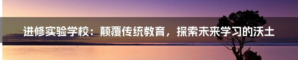 进修实验学校：颠覆传统教育，探索未来学习的沃土