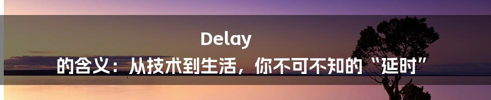 Delay 的含义：从技术到生活，你不可不知的“延时”