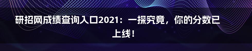 研招网成绩查询入口2021：一探究竟，你的分数已上线！