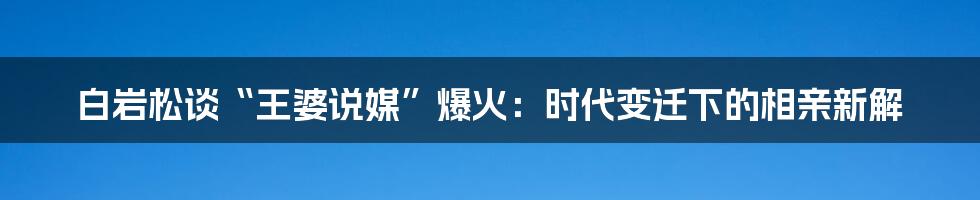 白岩松谈“王婆说媒”爆火：时代变迁下的相亲新解