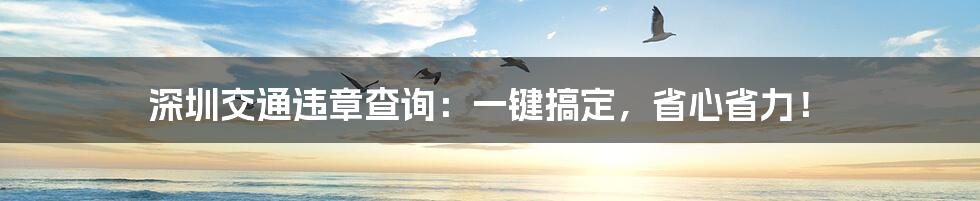 深圳交通违章查询：一键搞定，省心省力！