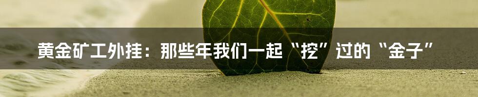 黄金矿工外挂：那些年我们一起“挖”过的“金子”