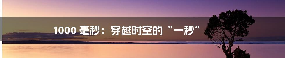 1000 毫秒：穿越时空的“一秒”