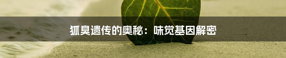 狐臭遗传的奥秘：味觉基因解密