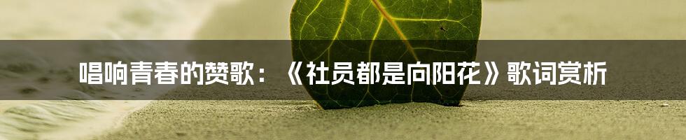 唱响青春的赞歌：《社员都是向阳花》歌词赏析