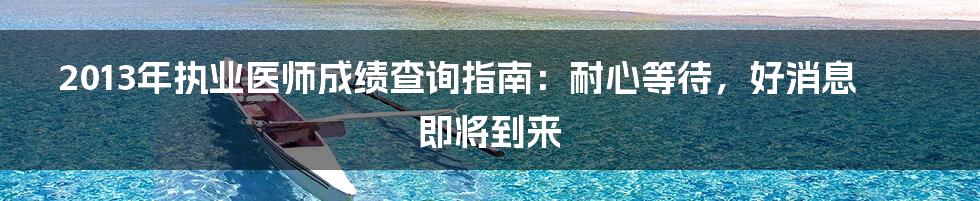 2013年执业医师成绩查询指南：耐心等待，好消息即将到来