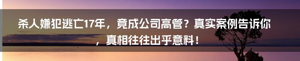 杀人嫌犯逃亡17年，竟成公司高管？真实案例告诉你，真相往往出乎意料！