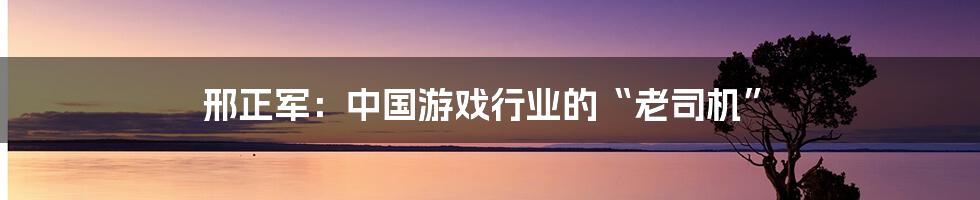 邢正军：中国游戏行业的“老司机”