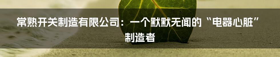 常熟开关制造有限公司：一个默默无闻的“电器心脏”制造者