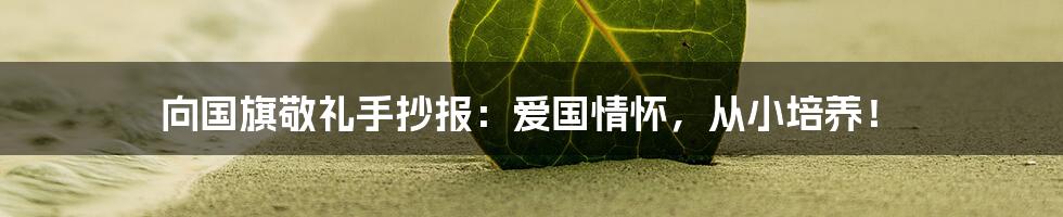 向国旗敬礼手抄报：爱国情怀，从小培养！