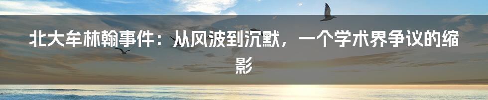 北大牟林翰事件：从风波到沉默，一个学术界争议的缩影