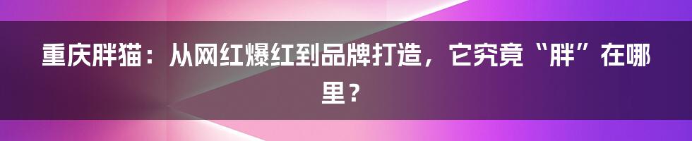 重庆胖猫：从网红爆红到品牌打造，它究竟“胖”在哪里？