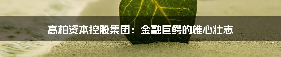 高柏资本控股集团：金融巨鳄的雄心壮志