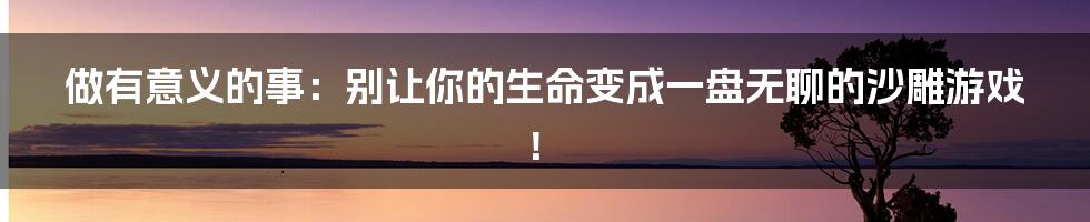 做有意义的事：别让你的生命变成一盘无聊的沙雕游戏！