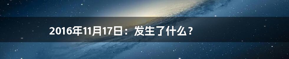 2016年11月17日：发生了什么？