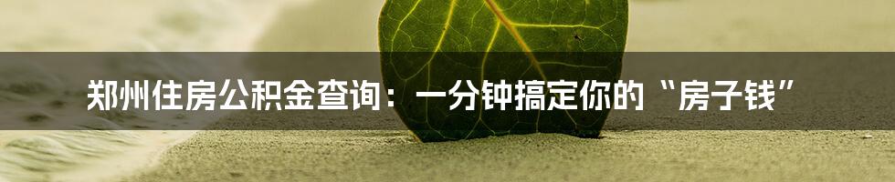 郑州住房公积金查询：一分钟搞定你的“房子钱”