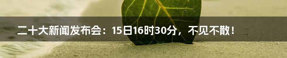 二十大新闻发布会：15日16时30分，不见不散！