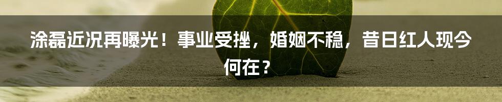 涂磊近况再曝光！事业受挫，婚姻不稳，昔日红人现今何在？