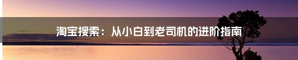 淘宝搜索：从小白到老司机的进阶指南