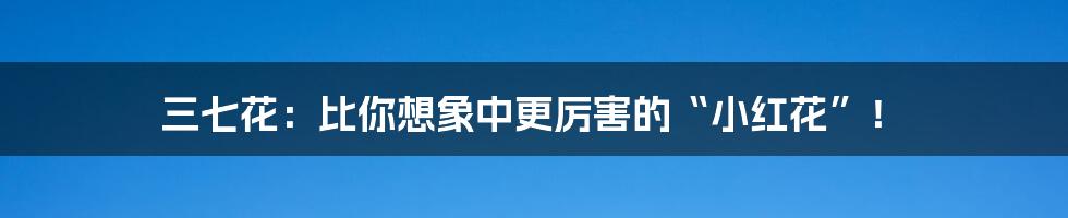 三七花：比你想象中更厉害的“小红花”！