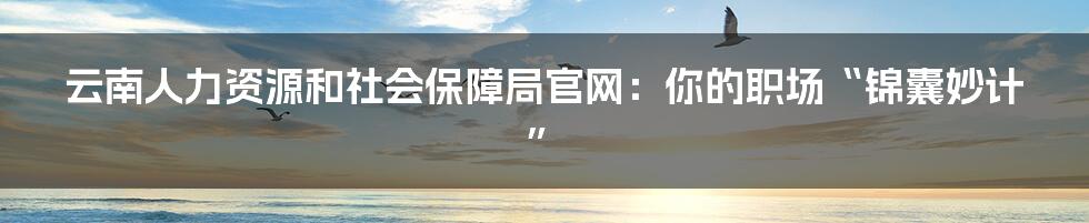 云南人力资源和社会保障局官网：你的职场“锦囊妙计”