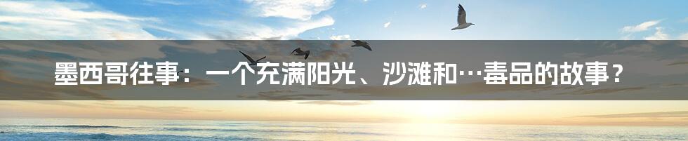 墨西哥往事：一个充满阳光、沙滩和…毒品的故事？