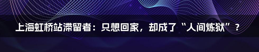 上海虹桥站滞留者：只想回家，却成了“人间炼狱”？