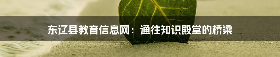 东辽县教育信息网：通往知识殿堂的桥梁