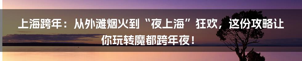 上海跨年：从外滩烟火到“夜上海”狂欢，这份攻略让你玩转魔都跨年夜！