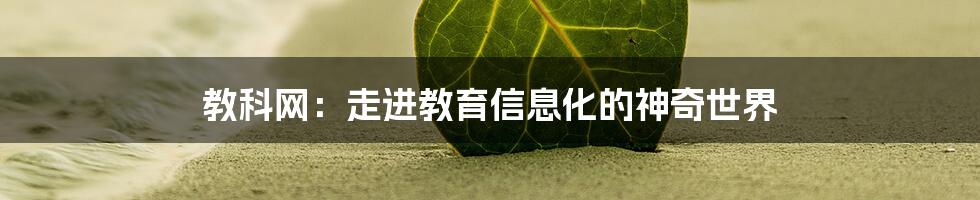 教科网：走进教育信息化的神奇世界