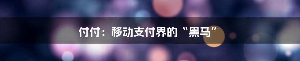 付付：移动支付界的“黑马”