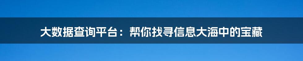 大数据查询平台：帮你找寻信息大海中的宝藏