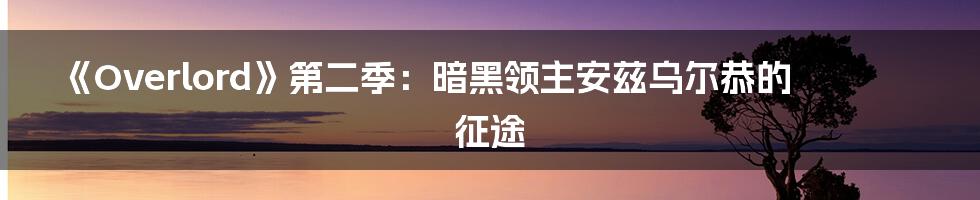 《Overlord》第二季：暗黑领主安兹乌尔恭的征途