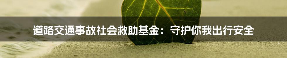 道路交通事故社会救助基金：守护你我出行安全