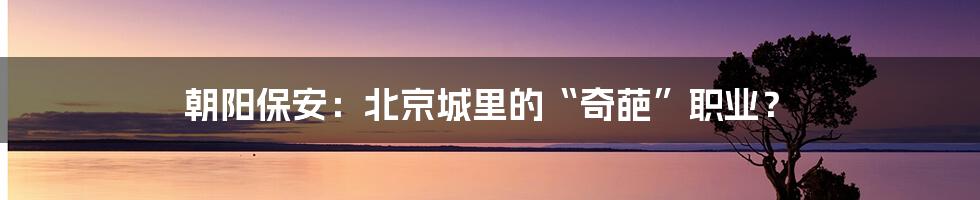 朝阳保安：北京城里的“奇葩”职业？