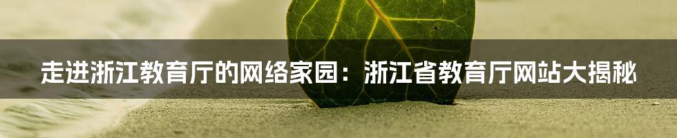 走进浙江教育厅的网络家园：浙江省教育厅网站大揭秘